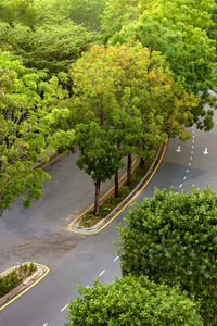 High angle view of road amidst plants and trees in city