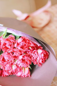 High angle view of pink roses on hand