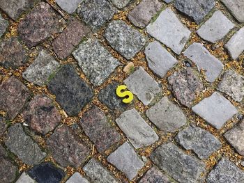 High angle view of cobblestone street