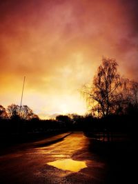 Silhouette bare trees on landscape against sky during sunset