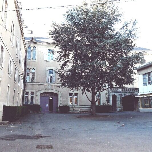 building exterior, tree, built structure, architecture, city, outdoors, no people, day, residential building, cityscape, nature, water, sky