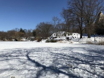 Snow covered trees and houses against sky
