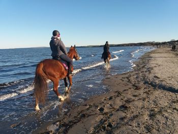 Man riding dog on beach against clear sky