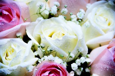 Close-up of rose bouquet