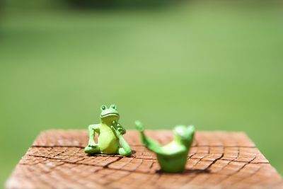 Close-up of toy frogs in yoga pose on tree stump