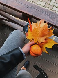 High angle view of person holding maple leaf