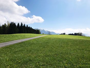 Scenic view of field against sky