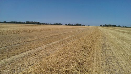 Scenic view of landscape against clear sky