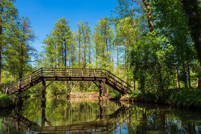 Footbridge over lake at forest