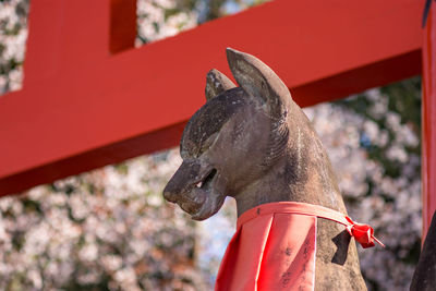 Close-up of horse statue