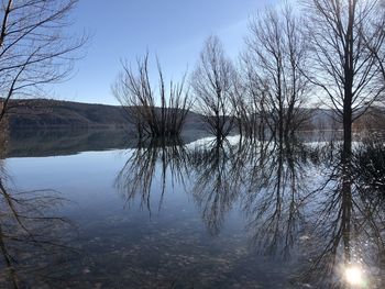 Reflection of bare trees in lake against sky