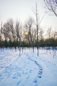 Snow covered field against sky during winter