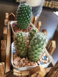 High angle view of potted plants on table