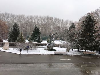 Trees against sky during winter