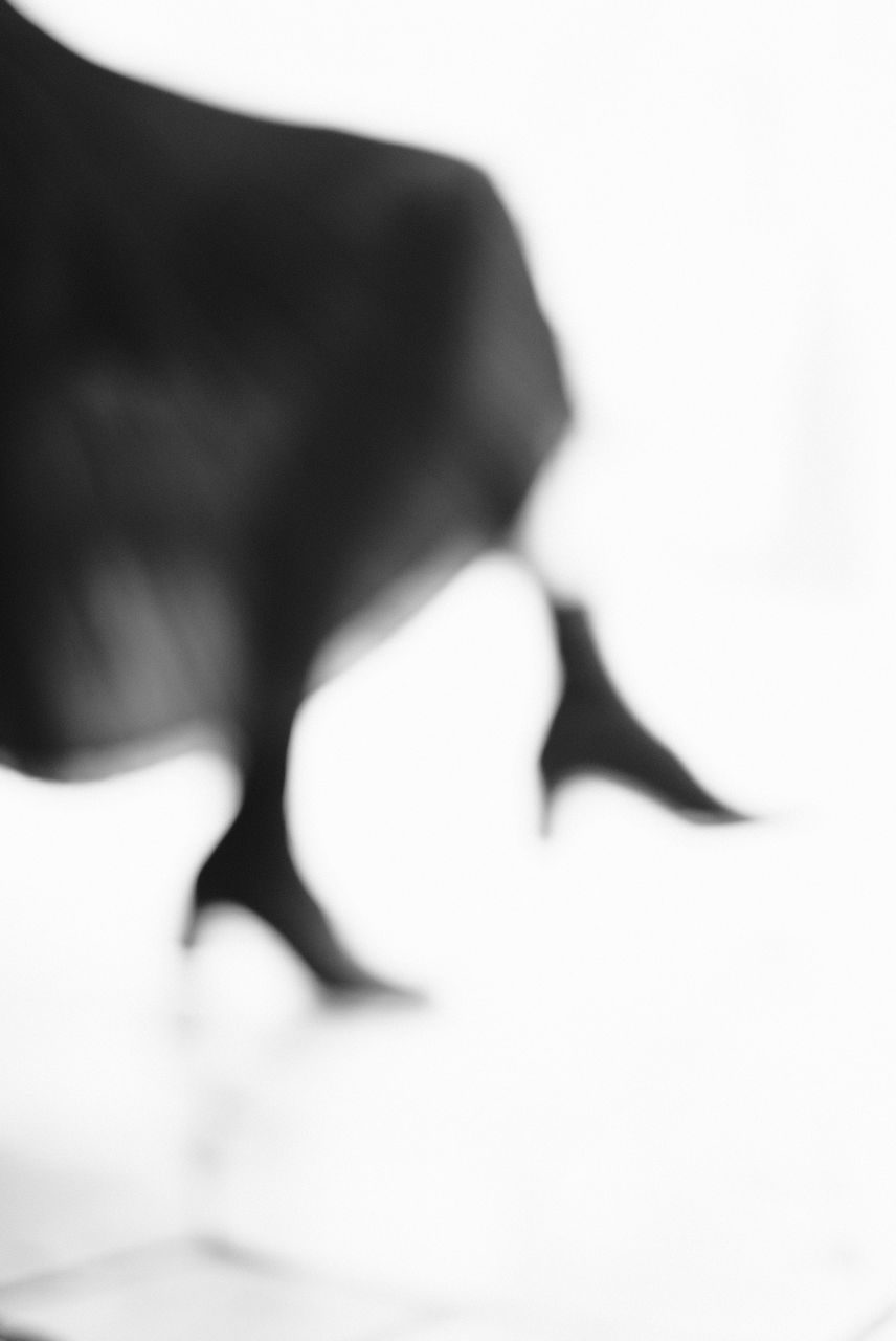 CLOSE-UP OF WOMAN WITH CAT OVER WHITE BACKGROUND