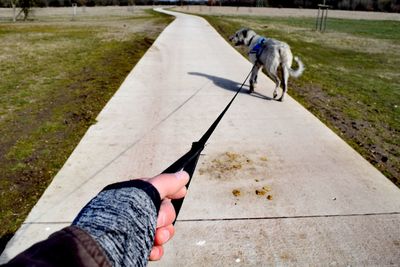 Low section of man with dog