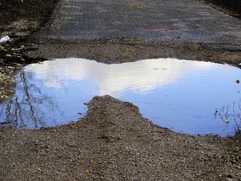 Reflection of lake in puddle