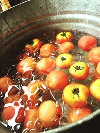 High angle view of fruits in container