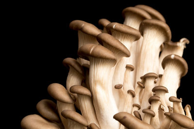 Close-up of figurine on wood against black background