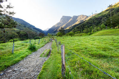 Scenic view of landscape against clear sky