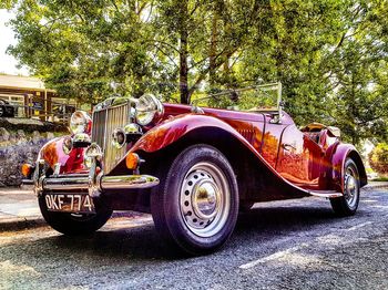 Vintage car on tree