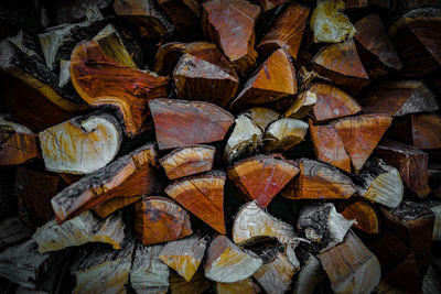 Full frame shot of logs in forest