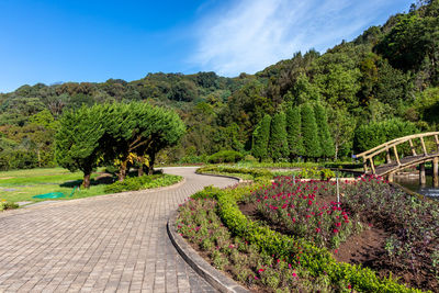 Scenic view of flowering plants against cloudy sky