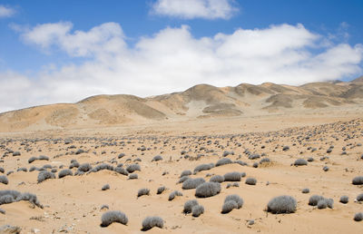 Scenic view of desert against sky