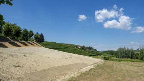 Road amidst trees on field against sky