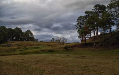 Trees on field against cloudy sky