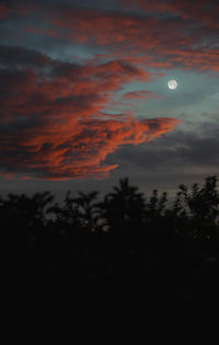 Silhouette trees against romantic sky at sunset