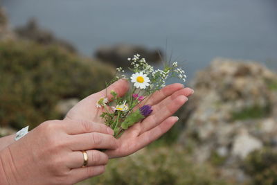 Cropped hands of woman holding flowers against sea