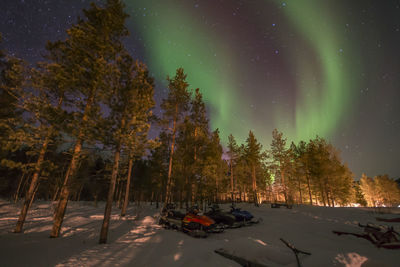 Cars on snow covered trees against sky at night