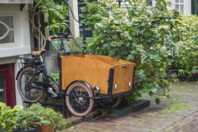 Bicycle by potted plants against building