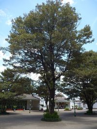 Built structure with trees in background