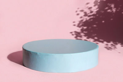 Podium for cosmetic product. abstract minimal geometrical form. cylinder floral shadow. top view