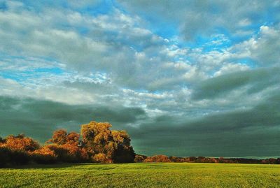 Scenic view of field against sky