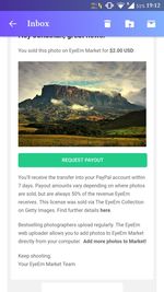 Close-up of lizard on landscape