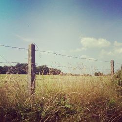 Scenic view of grassy field against sky