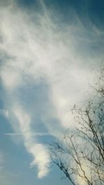 Low angle view of trees against sky