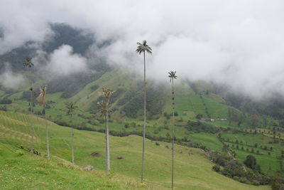 Scenic view of land against sky