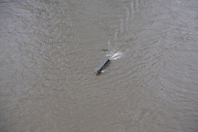 High angle view of man surfing in sea