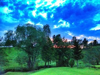 Scenic view of landscape against cloudy sky