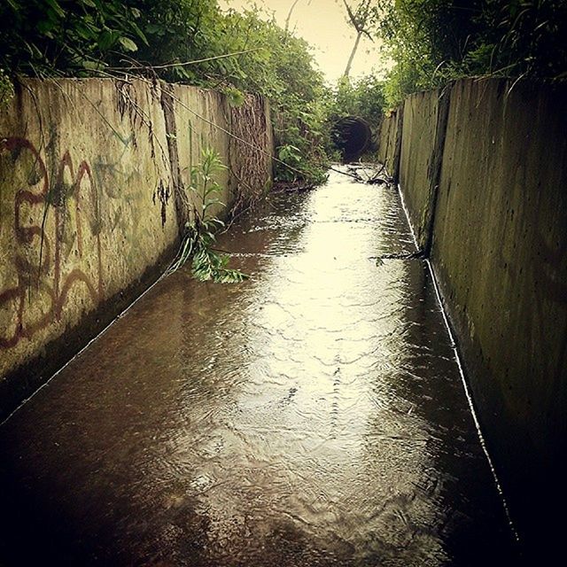 water, the way forward, diminishing perspective, built structure, architecture, vanishing point, canal, reflection, connection, narrow, wet, waterfront, day, transportation, long, no people, outdoors, river, nature, tree