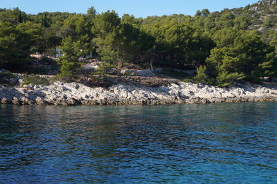 Scenic view of sea