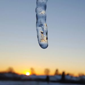 Reflection of plants on icicle against sky during sunset