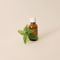 Bottle of essential oil with fresh basil twig on a white background. creative concept of healthy