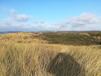 Scenic view of field against sky