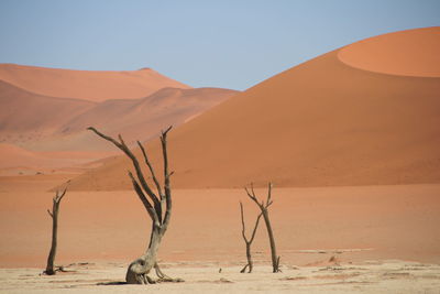 Scenic view of desert against clear sky