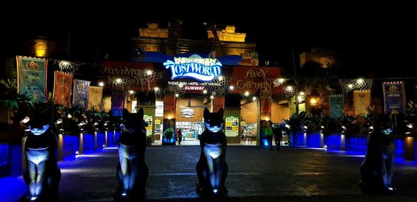 People on illuminated street at night